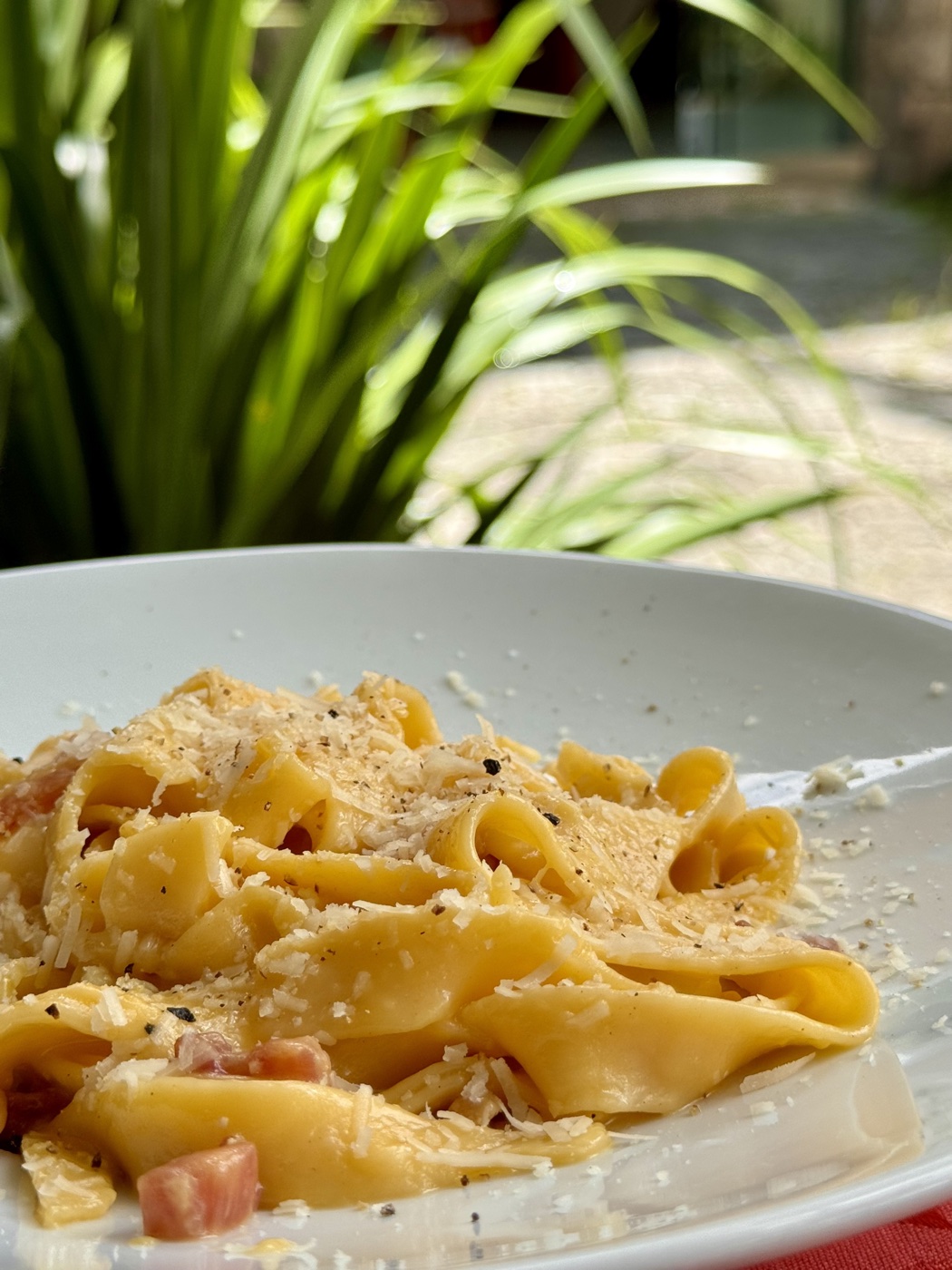 Espaguete alla carbonara autêntico italiano
